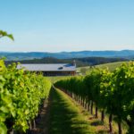 Devonport Wineries: A Must-Visit for Wine Lovers in Tasmania