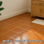 Terracotta Tile Resealing: Top Tips and Timing Essentials