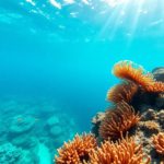 Belize Barrier Reef: Best Snorkeling Spots and Marine Life