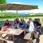Yarrawood Estate: Your Ideal Wine Experience Awaits