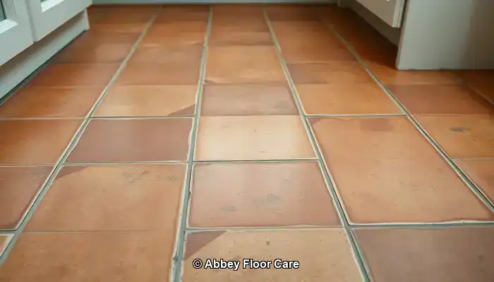 Factors Leading to Quick Dirt Build-Up on Terracotta Floors