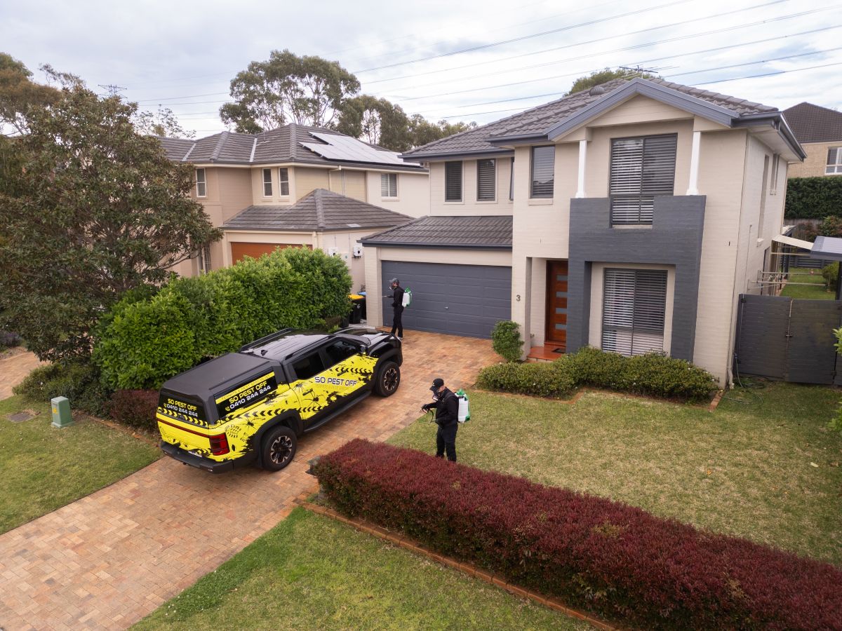 Pest Control Hills District So Pest Off