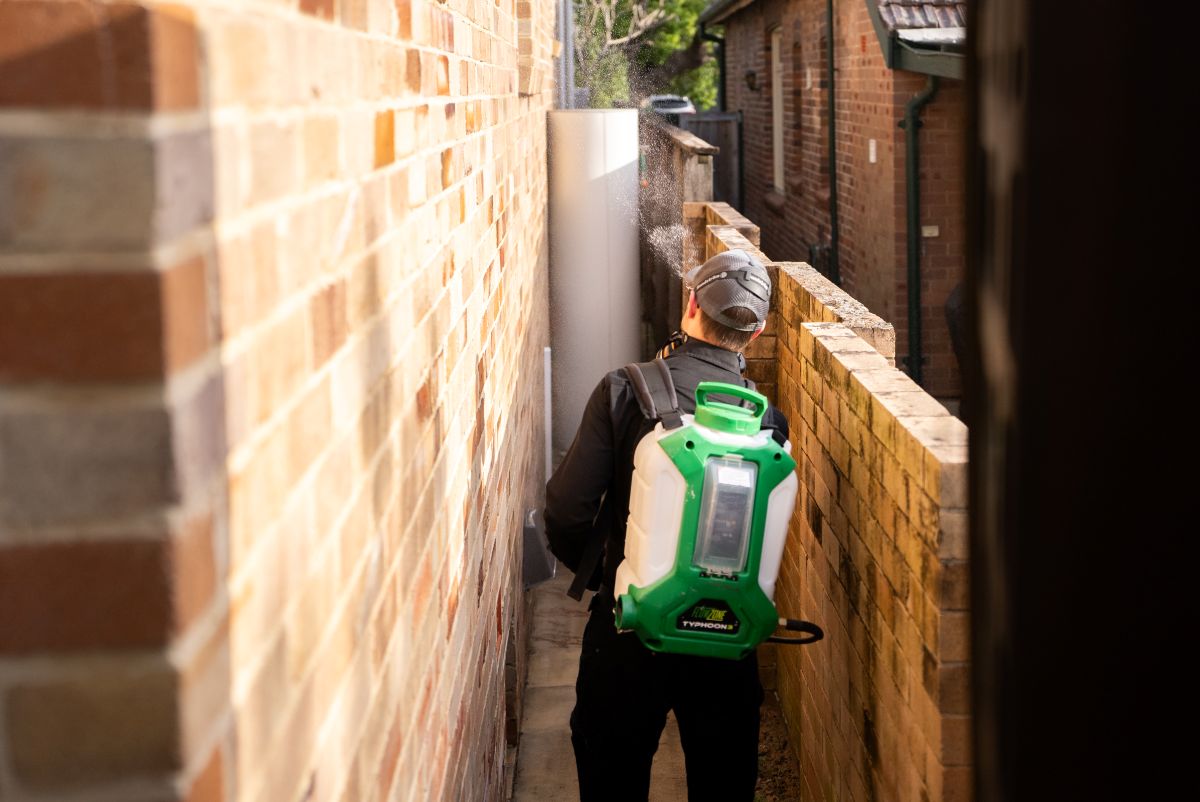 Pest Control Hills District So Pest Off