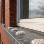 Bird Proofing Solutions: Alternatives to Spike Gel Repellents