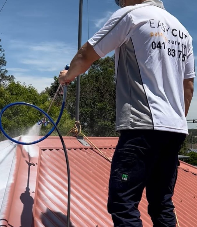 Metal Roof Painting Tips from Hills District Professionals