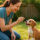 Housebreaking Tips for Effective Puppy Training Schedules