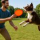 Dog Training: Frisbee Throwing Techniques to Master Today