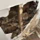 Termite Inspection Timing: Winter Tips for Sydney Homes