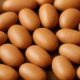 Fermented Locust Bean: Simple Homemade Ogiri Recipe Tips