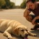Heat Exhaustion Treatment for Pets: Essential Recovery Advice
