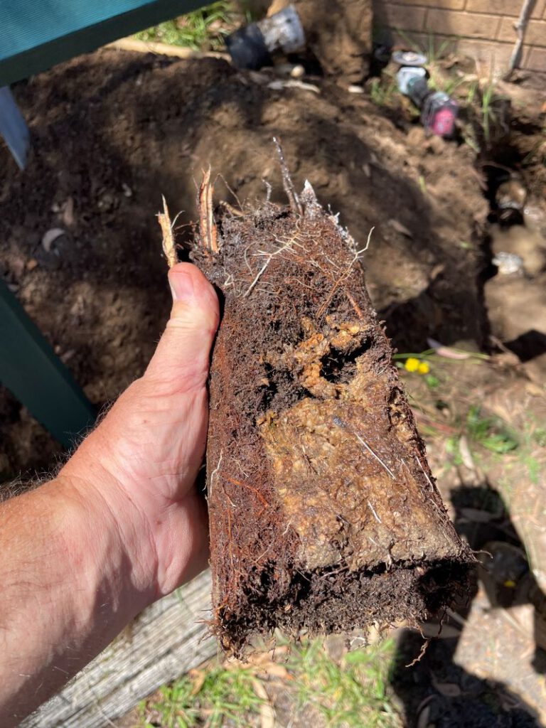 Clay Soil’s Effect on Caboolture’s Plumbing Systems