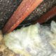 Asbestos Concerns: Essential Tips for Skip Bin Selection