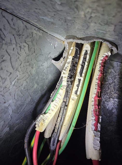 Managing Ants, Rats, and Mice: Electrical Fault Solutions