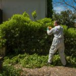 Green Waste Solutions: 4 Effective Ways to Dispose of It