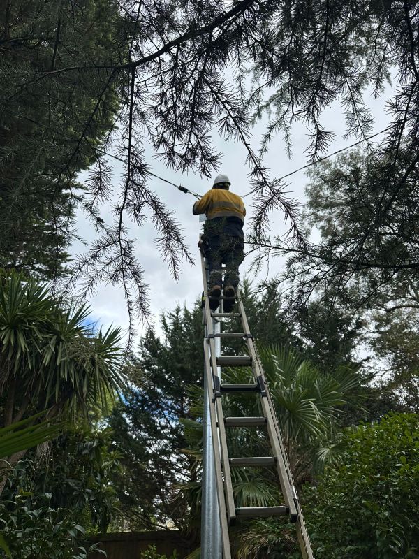 Electrical Defect Notice Response on the Mid North Coast