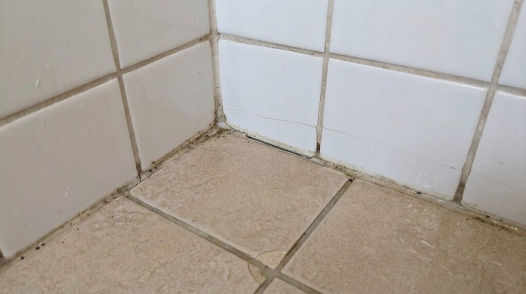 Shower Reseal: Is It a Genuine Solution or Just a Quick Fix?